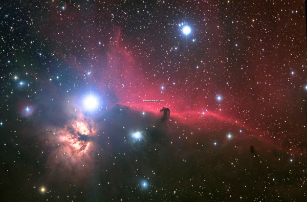 horsehead_steinberg_big.jpg