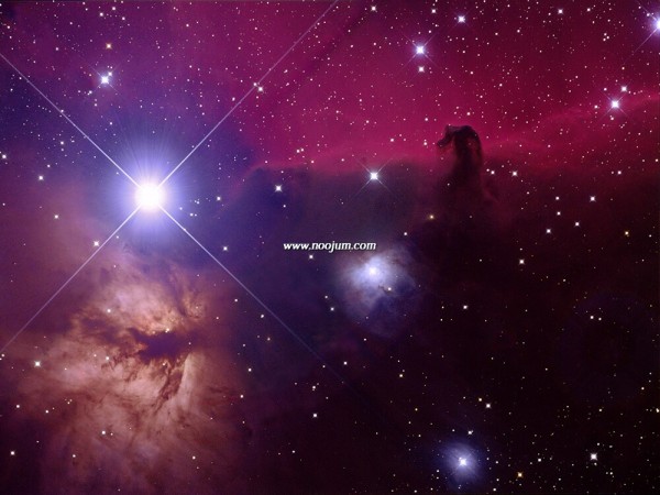 horsehead_tan_big.jpg