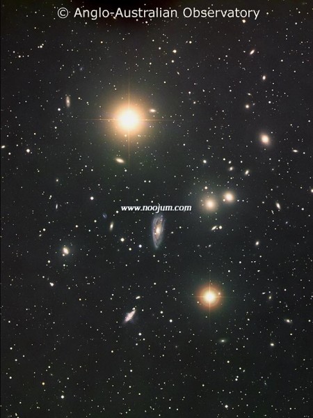 hydra_aat116_big.jpg