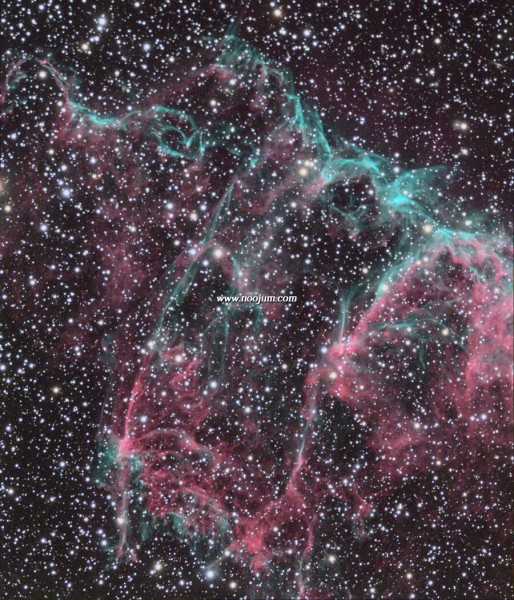 ic1340_tan_full.jpg