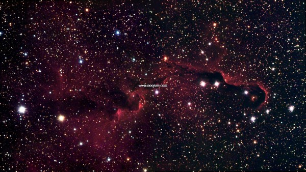 ic1396ele_gendler_big.jpg