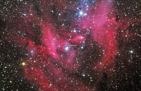 ic2948_crouch.jpg