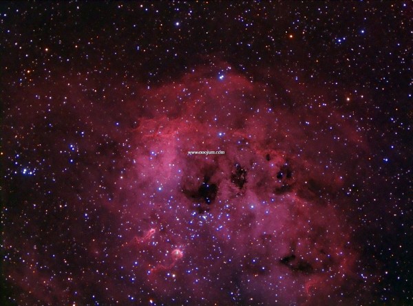 ic410_leshin_f.jpg
