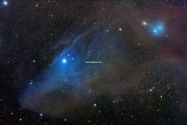 ic4592_gendler_big.jpg