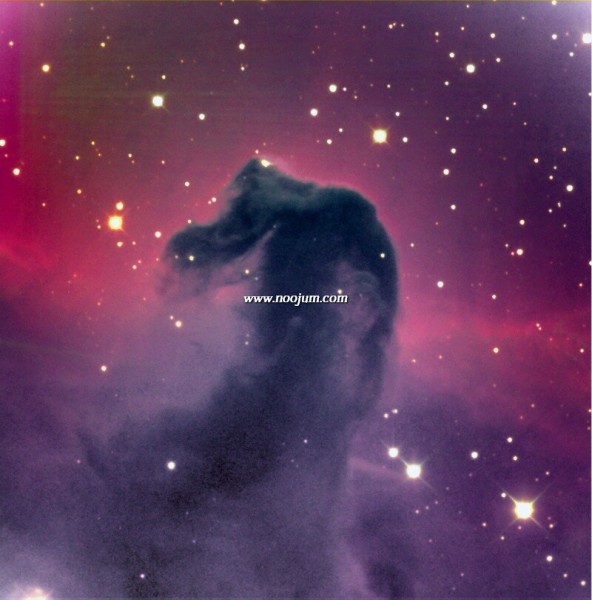 kellyhenden_horsehead_big.jpg