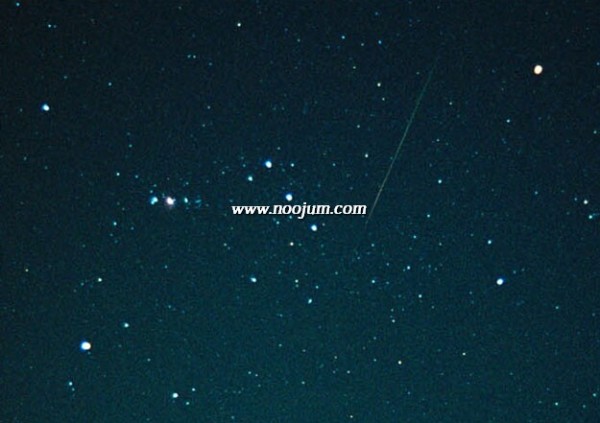 leonid00_murray.jpg
