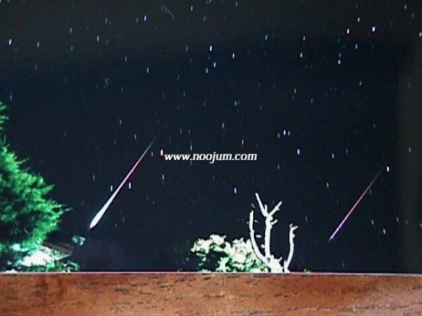 leonid2_staiger_big.jpg
