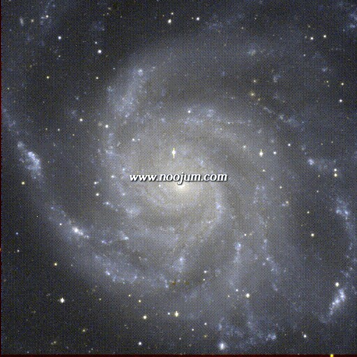 m101_wk_big.jpg