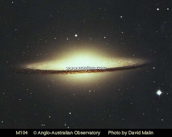 m104_dfm_big.jpg