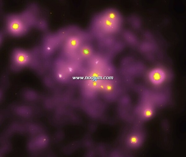 m31_cxo_big.jpg