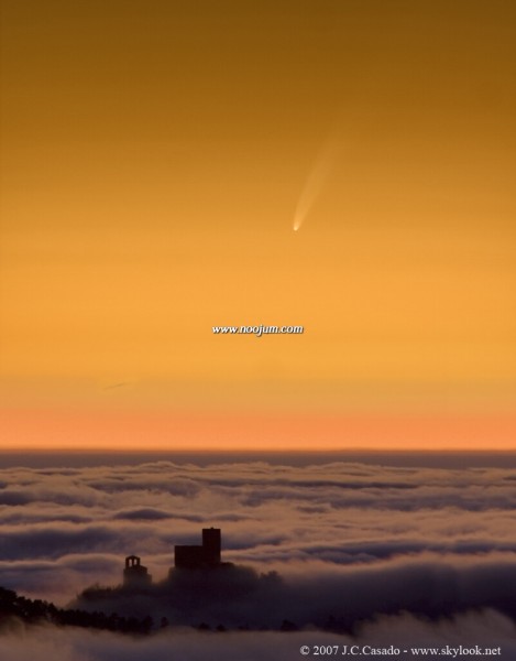 mcnaught_casado_big.jpg