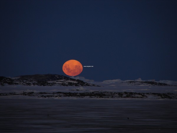 moonantarctica_behrens_f.jpg