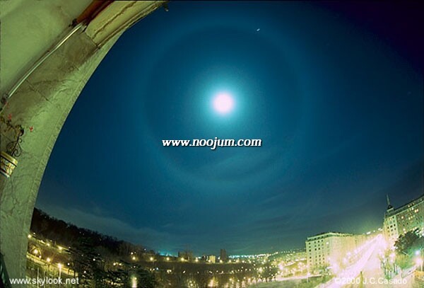 moonhalo_casado_big.jpg