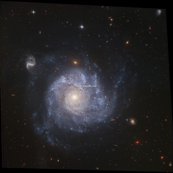 ngc1309friends_hst_f.jpg