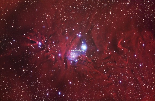 ngc2264_croman_full.jpg