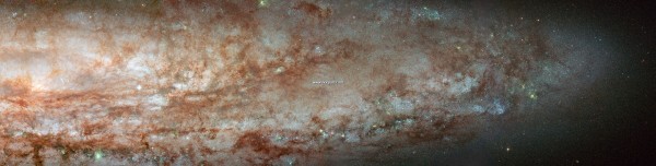 ngc253wide_hst.jpg