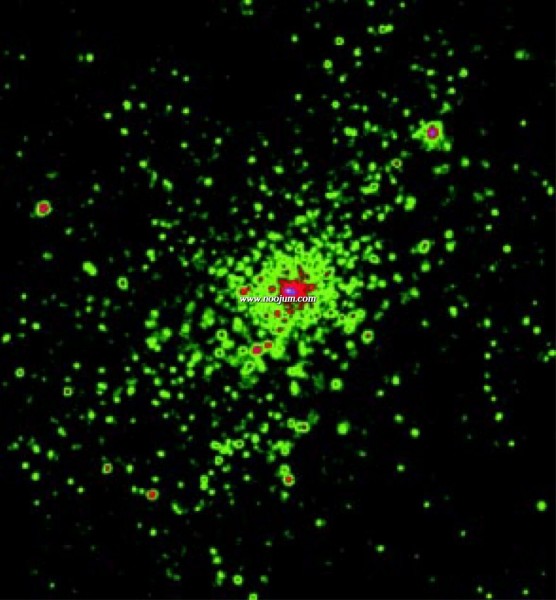ngc3603corcoran_cxc_big.jpg