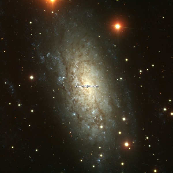 ngc3621_bresolin_full.jpg