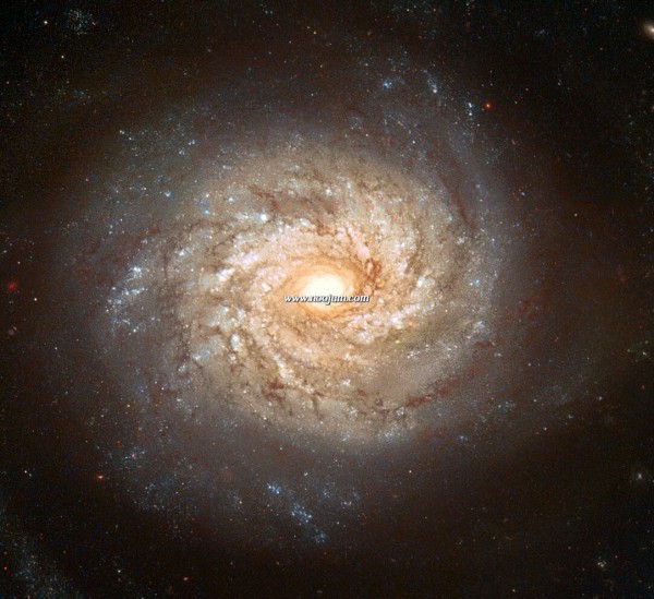 ngc3982_hst_big.jpg