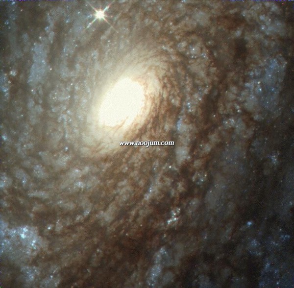 ngc4414_hst_big.jpg
