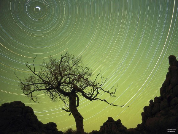 nightsky20.jpg