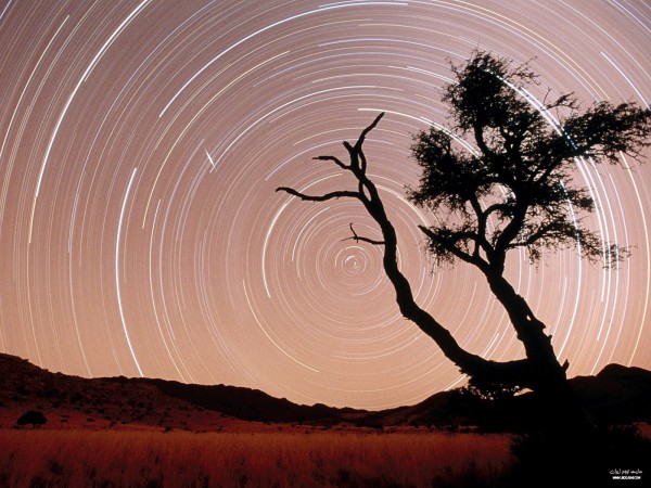 nightsky24.jpg