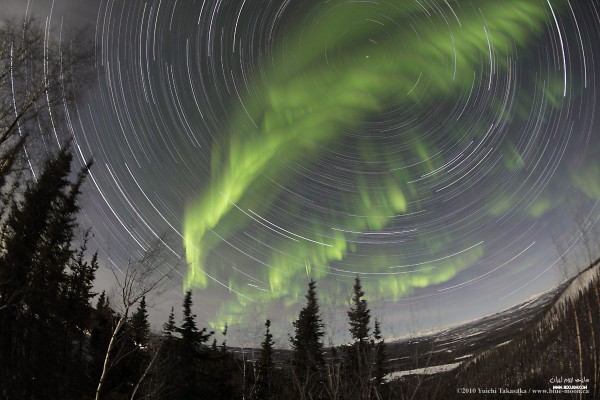 nightsky29.jpg