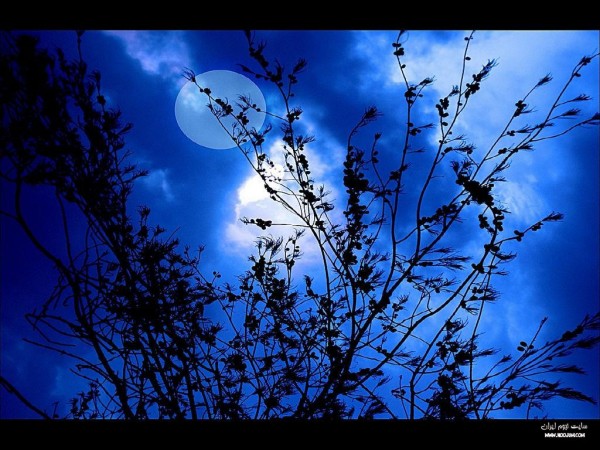 nightsky34.jpg