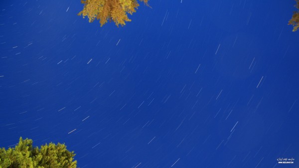 nightsky35.jpg