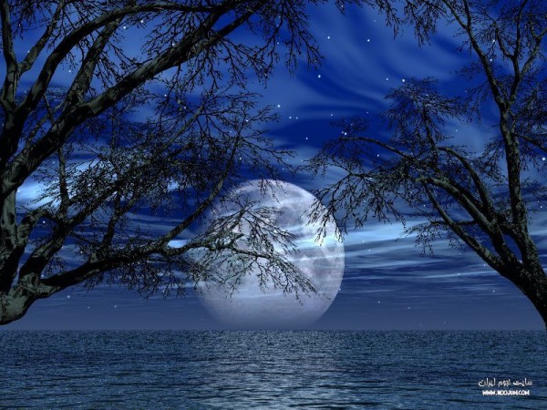 nightsky38.jpg