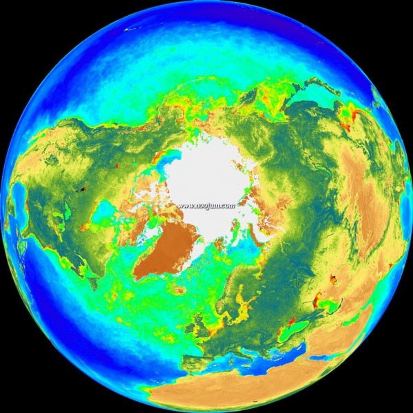 north1_seawifs_big.jpg