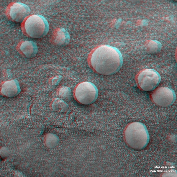 o14_berries_anaglyph.jpg