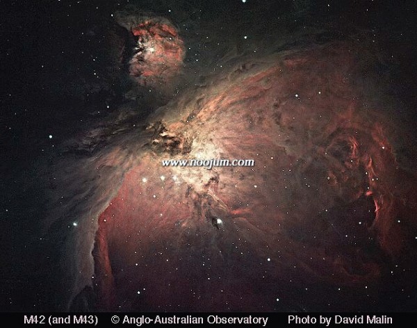 oriondust_aat_big.jpg