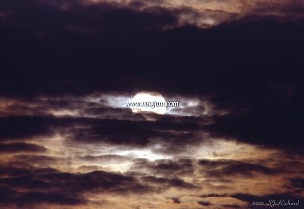 parteclipse_richard_big.jpg