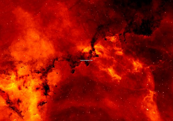 redrosedust_wright_f2000.jpg