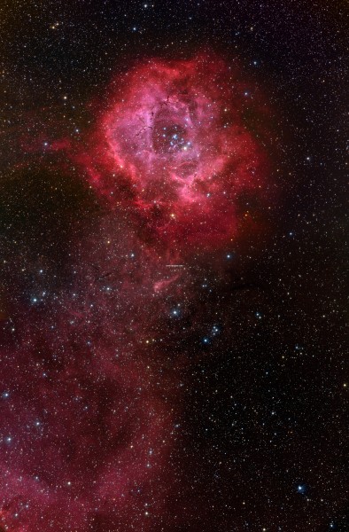 rosette_abtps.jpg