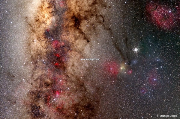 scorpius_guisard_big.jpg