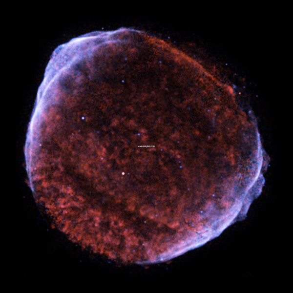sn1006_chandra_big.jpg