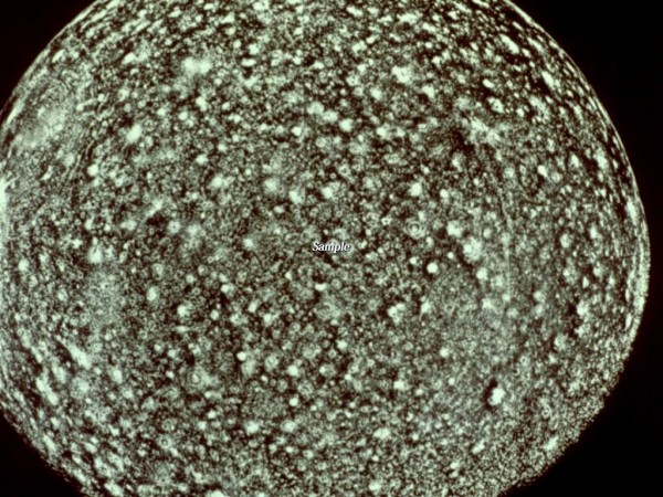 space-astronomy150.jpg
