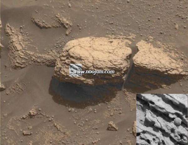 stonemtinset_opportunity.jpg