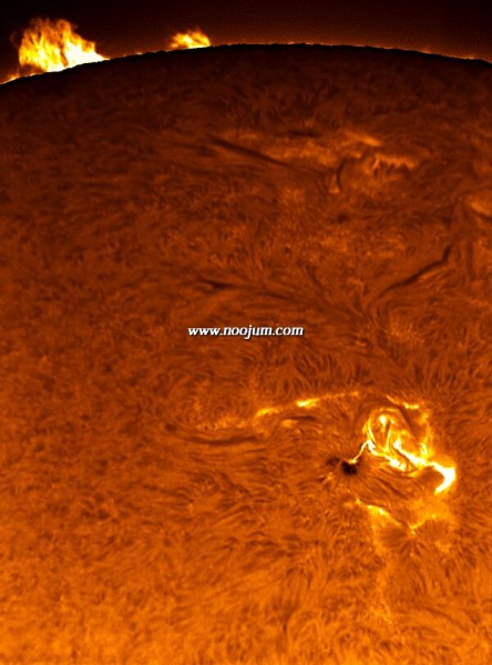sunspot0875_piepol_big.jpg