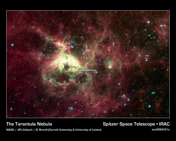 tarantula_spitzer_big.jpg