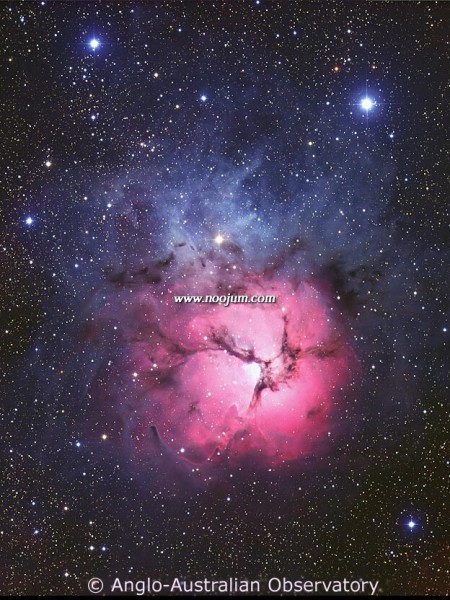 trifid_aao_big.jpg