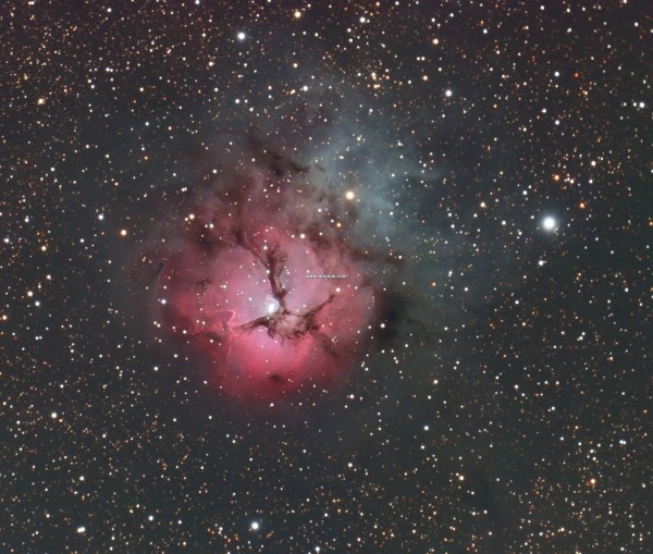 trifid_henry-1.jpg