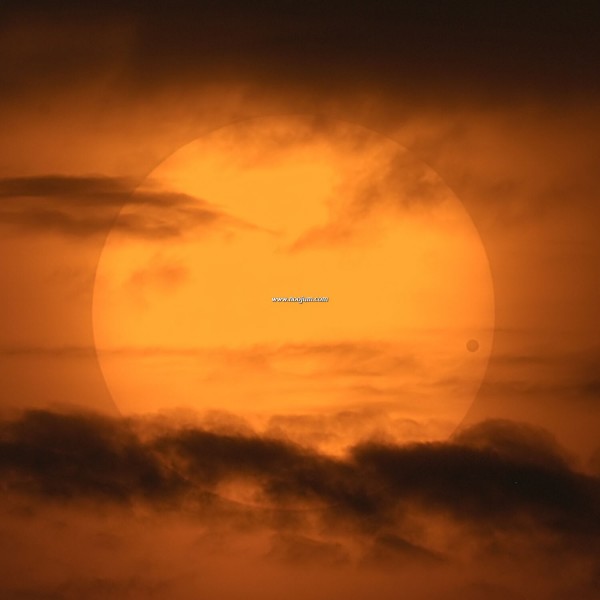 venustransit_cortner_big.jpg