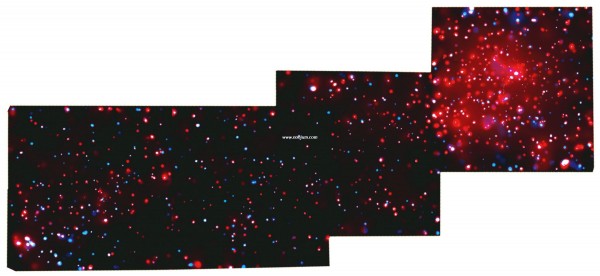 xrayrose_cxo_big.jpg