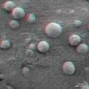 o14_berries_anaglyph
